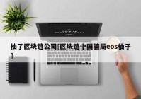 柚了区块链公司[区块链中国骗局eos柚子]