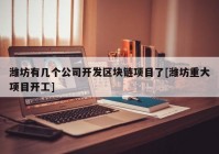 潍坊有几个公司开发区块链项目了[潍坊重大项目开工]